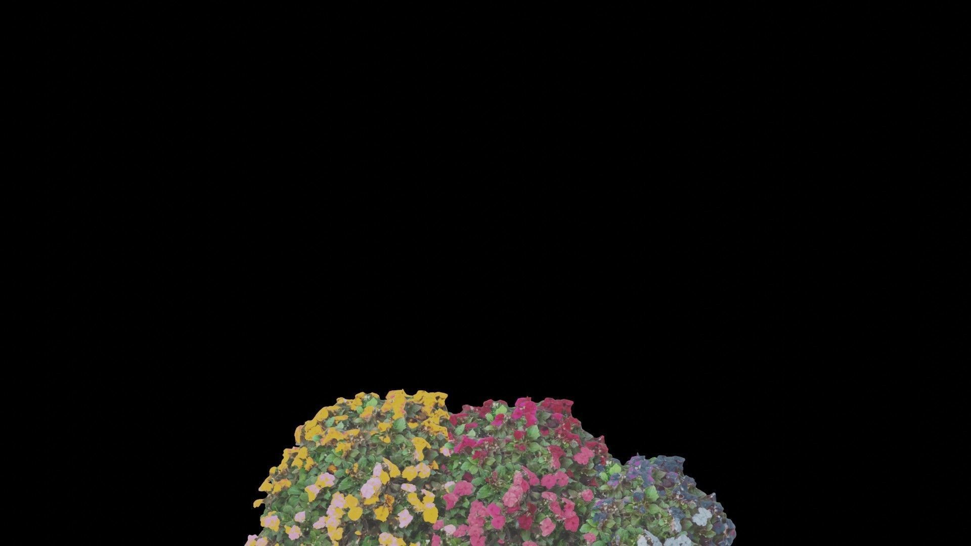 Flowers bush bundle - scanned Low-poly 3D model_51