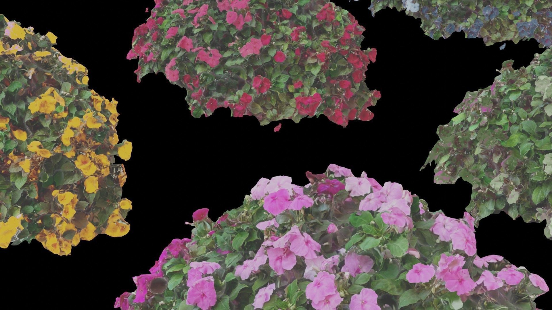 Flowers bush bundle - scanned Low-poly 3D model_22