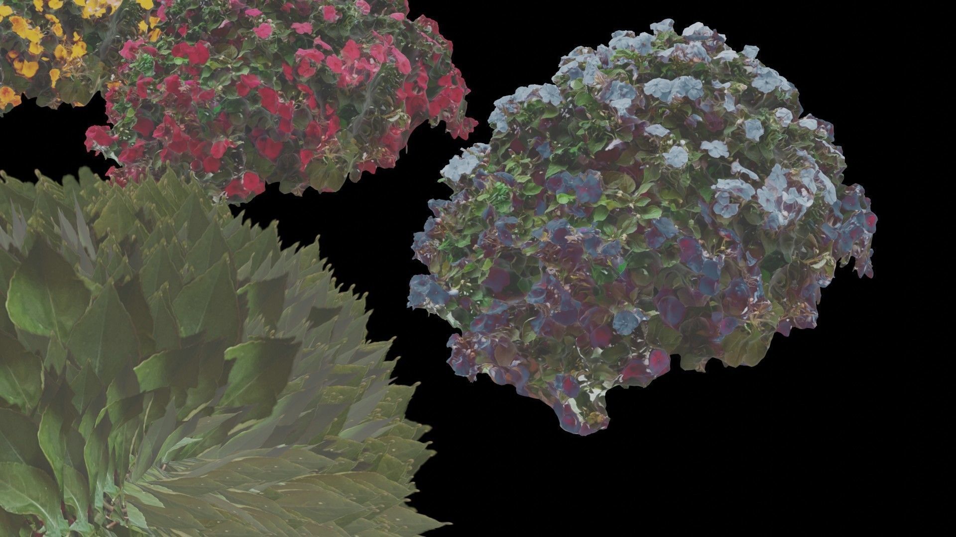Flowers bush bundle - scanned Low-poly 3D model_42