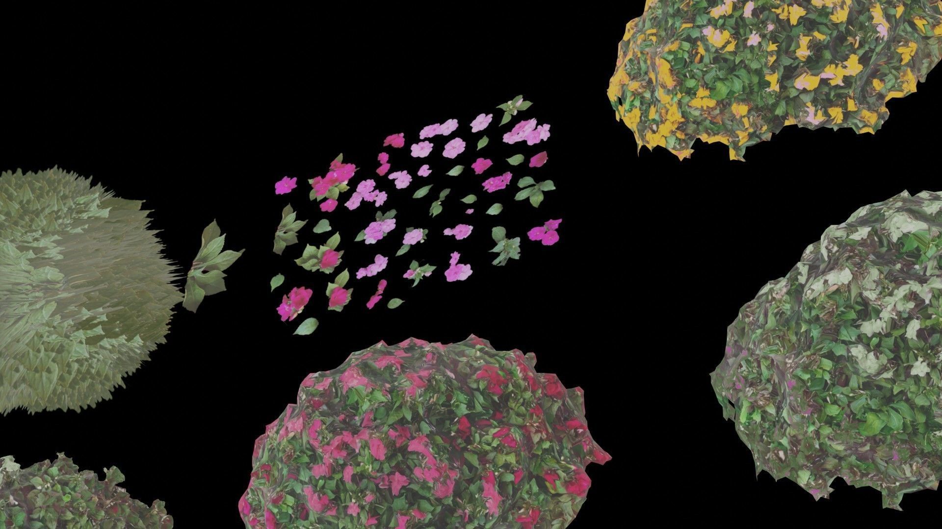 Flowers bush bundle - scanned Low-poly 3D model_34