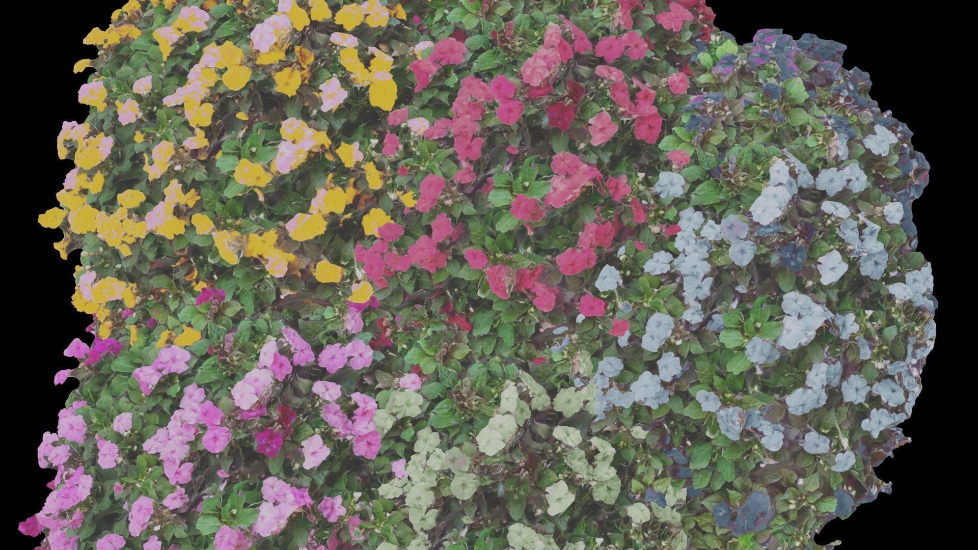 Flowers bush bundle - scanned Low-poly 3D model_35