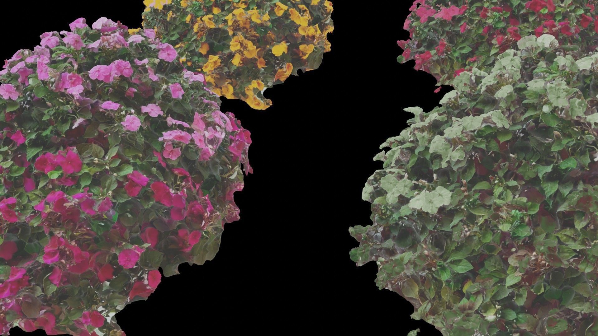 Flowers bush bundle - scanned Low-poly 3D model_13