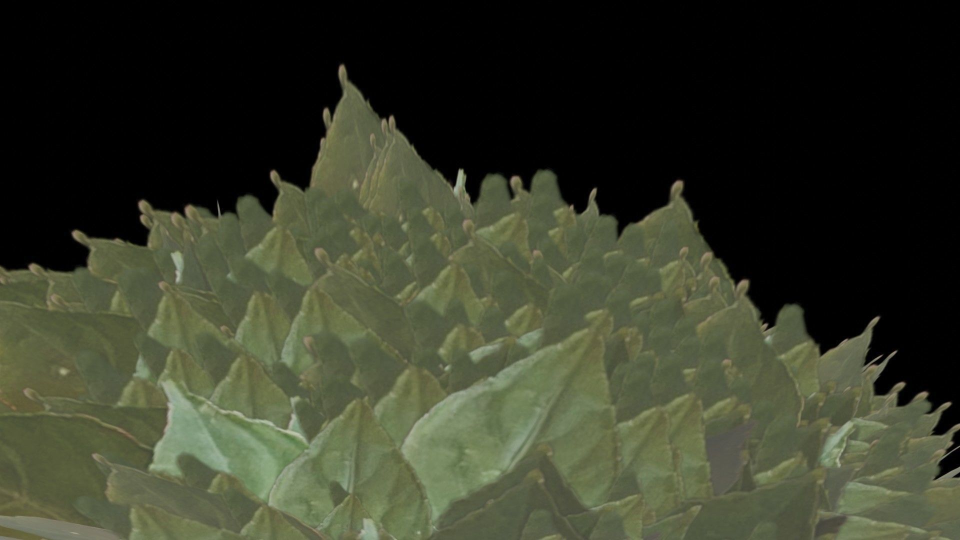 Flowers bush bundle - scanned Low-poly 3D model_32