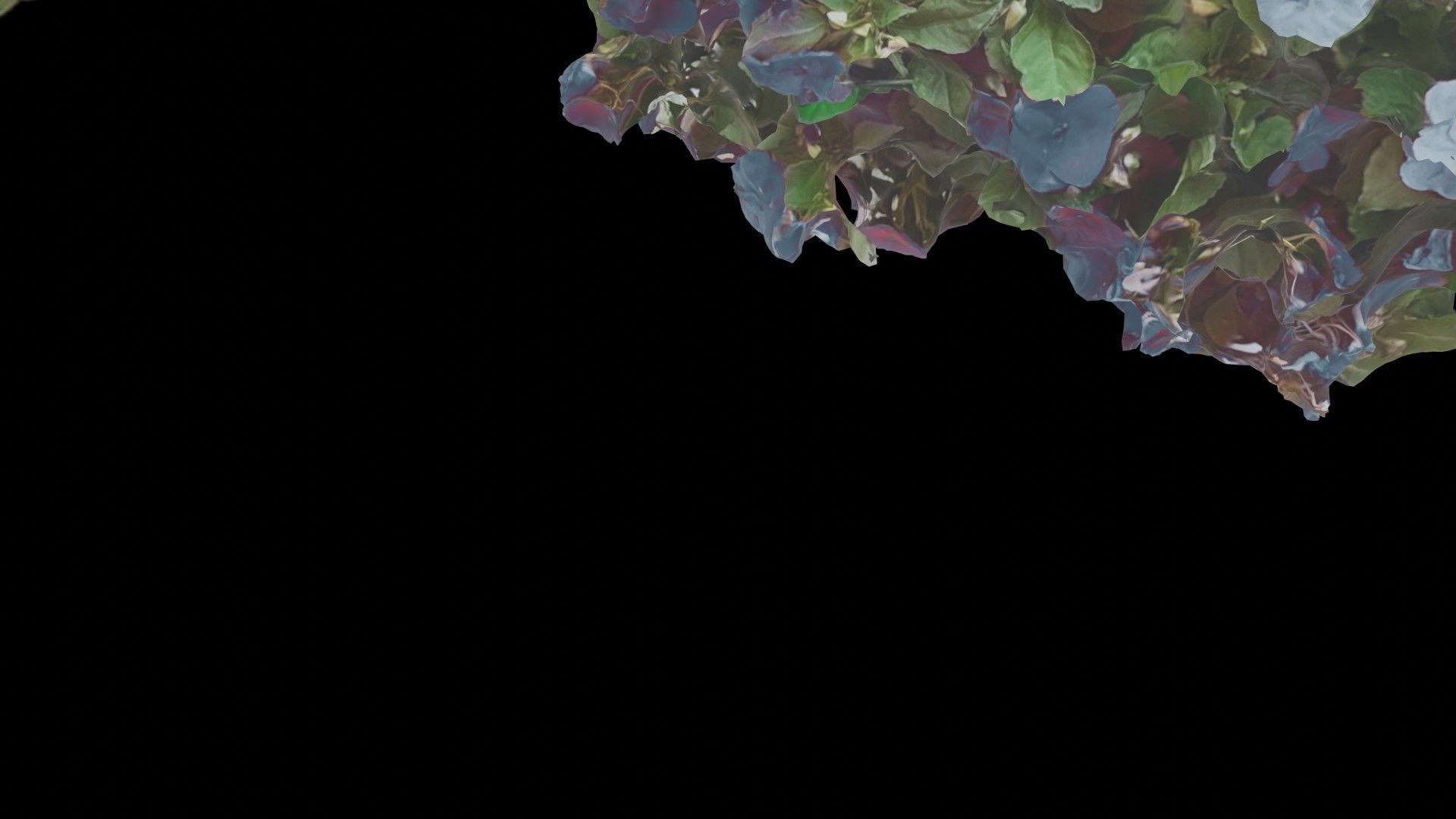 Flowers bush bundle - scanned Low-poly 3D model_44