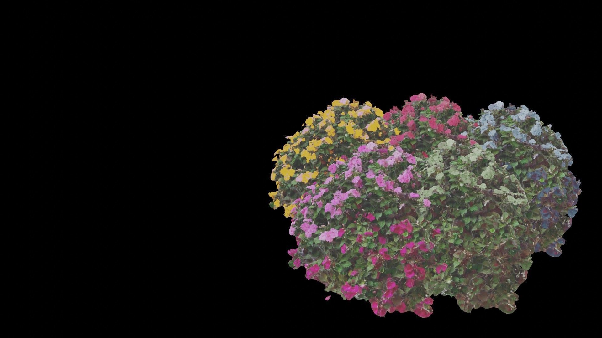 Flowers bush bundle - scanned Low-poly 3D model_46