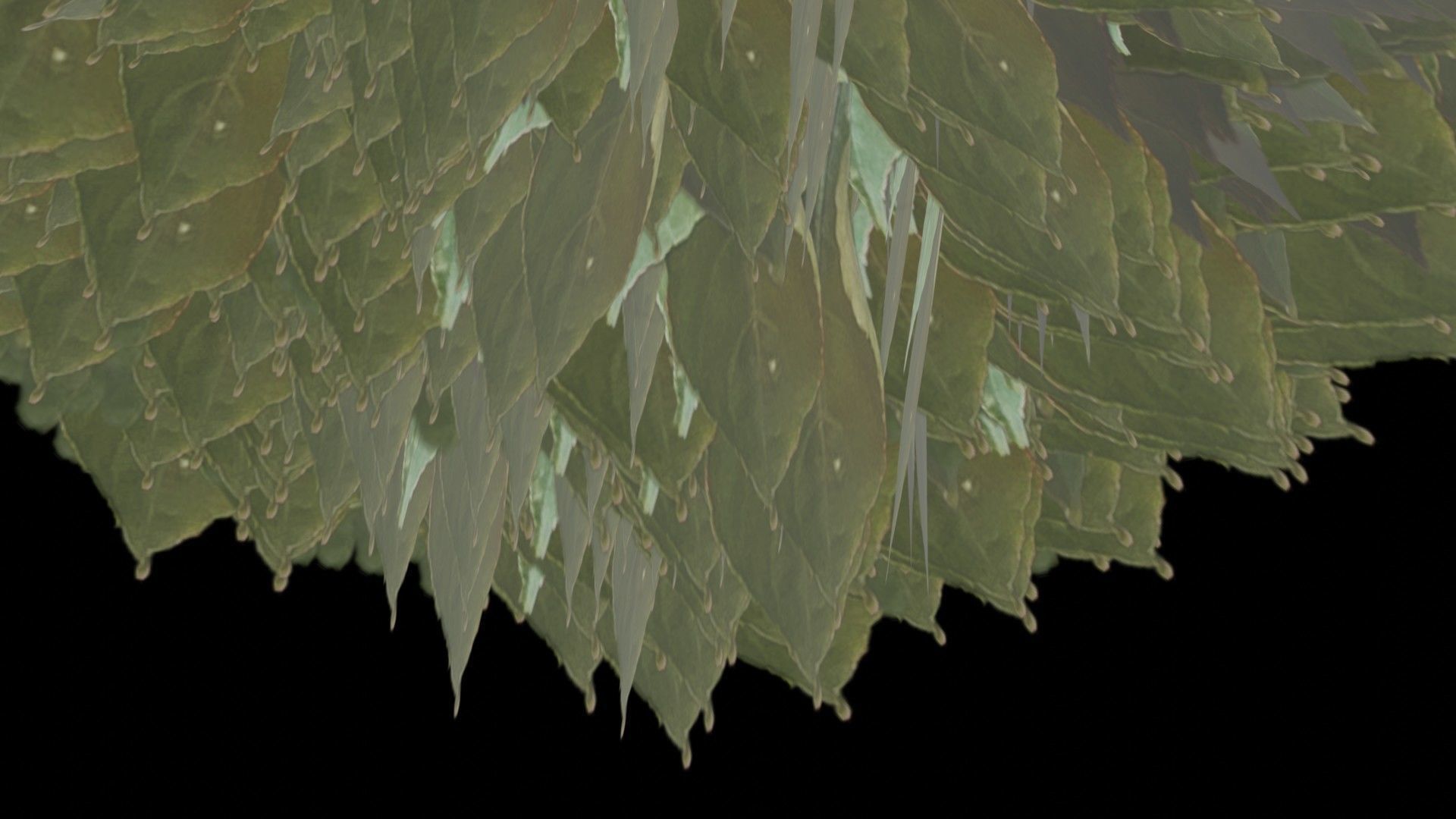 Flowers bush bundle - scanned Low-poly 3D model_45