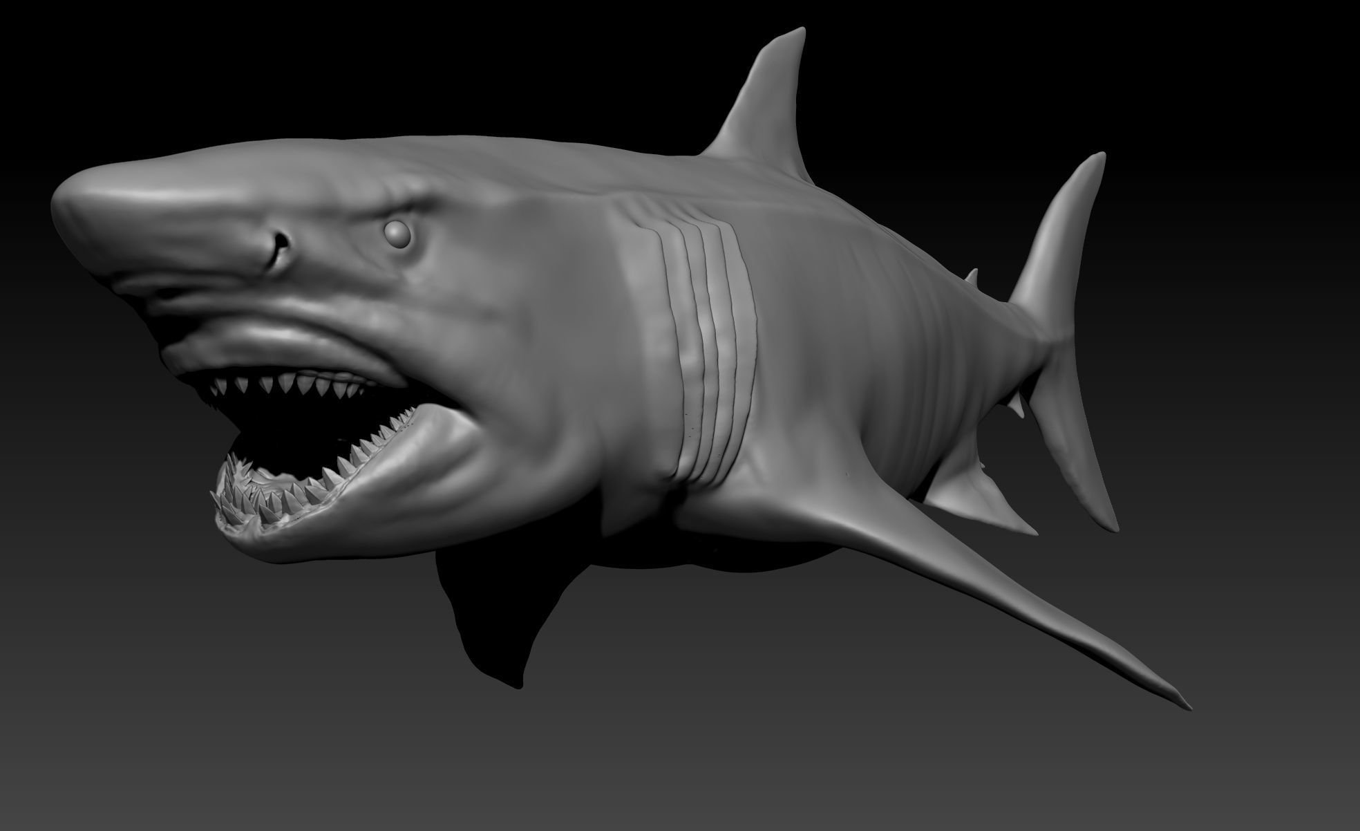 Megalodon SCULPT Project 3D model | CGTrader