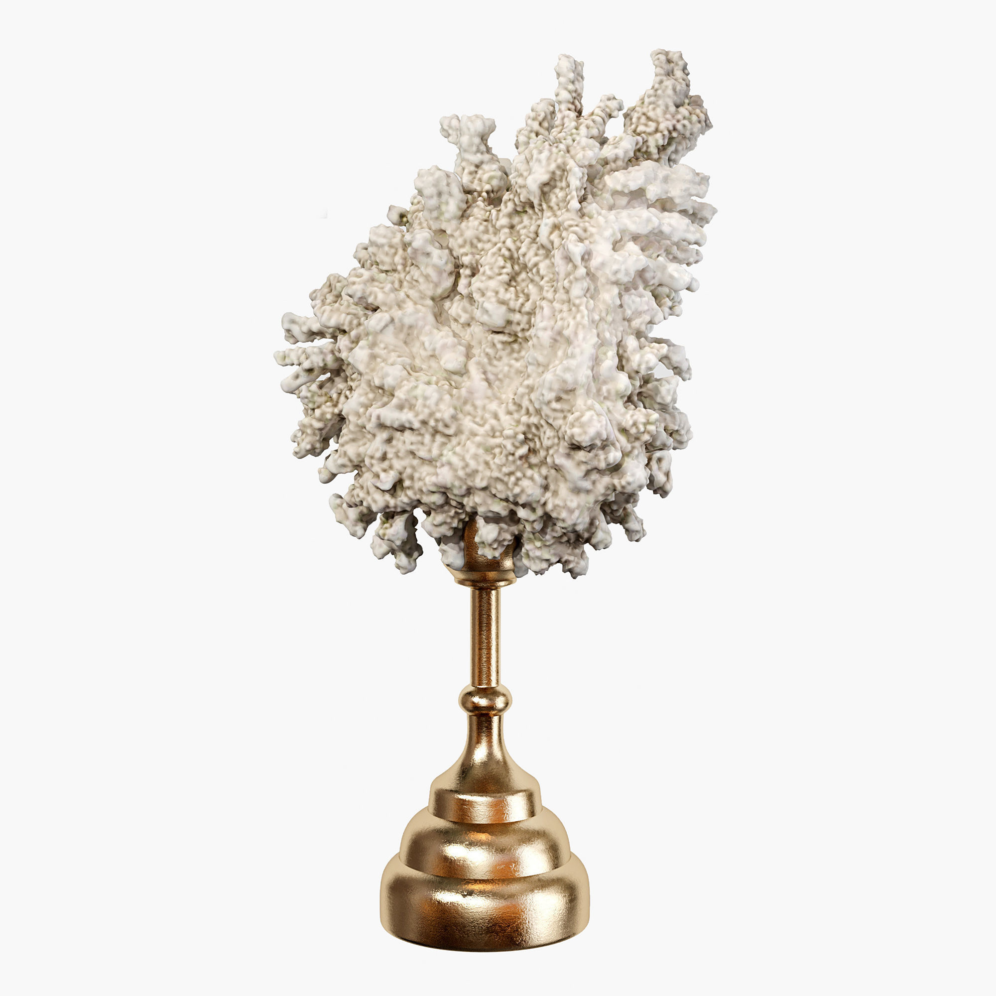 Sculptures of coral reef 01 3D model_6