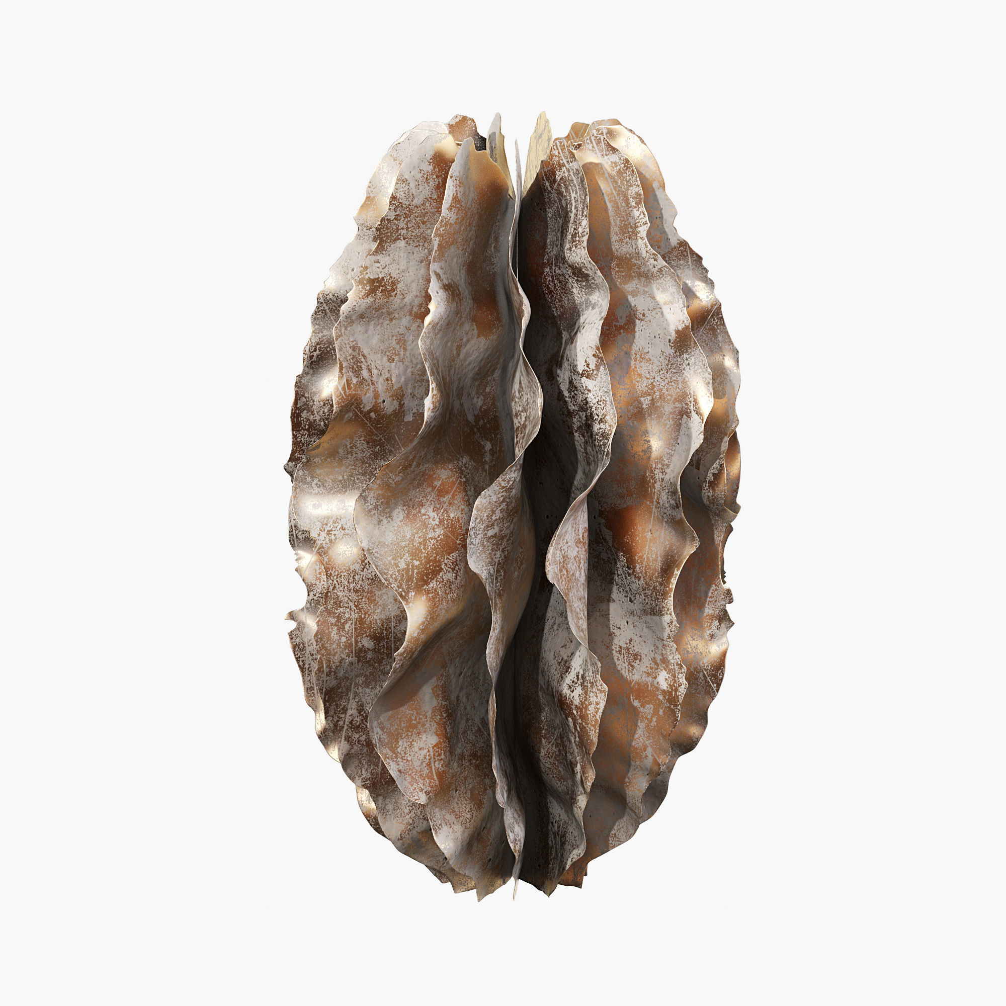 Sculptures of coral reef 01 3D model_4