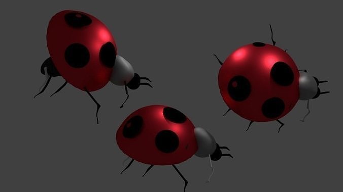 Insect Bug 3D model