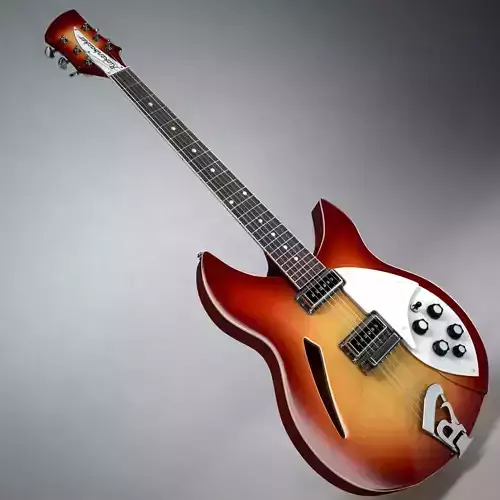Rickenbacker Guitar 330