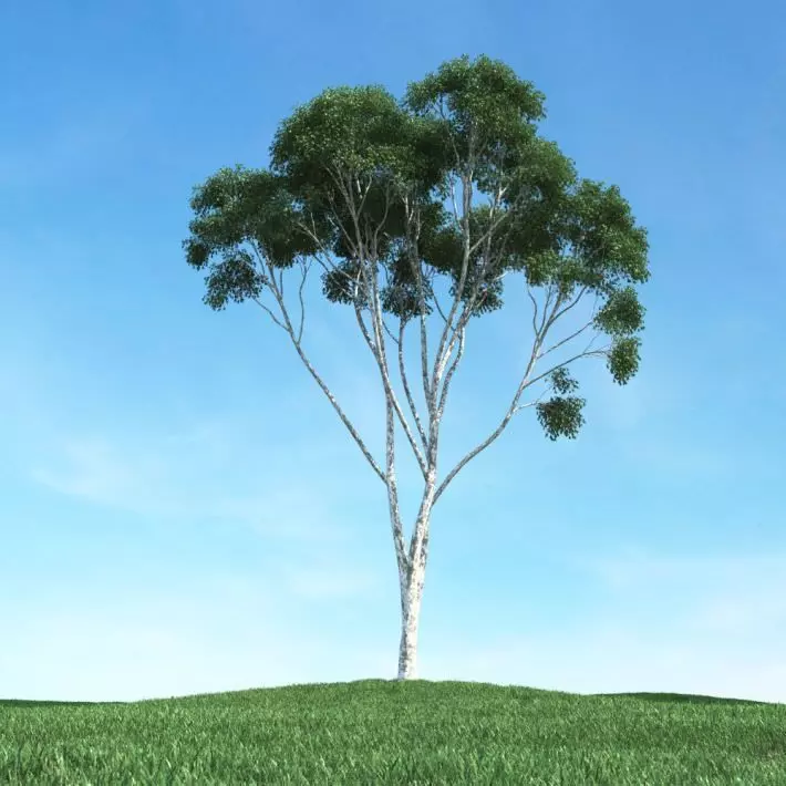 Green Leafy Tree 3D model_0