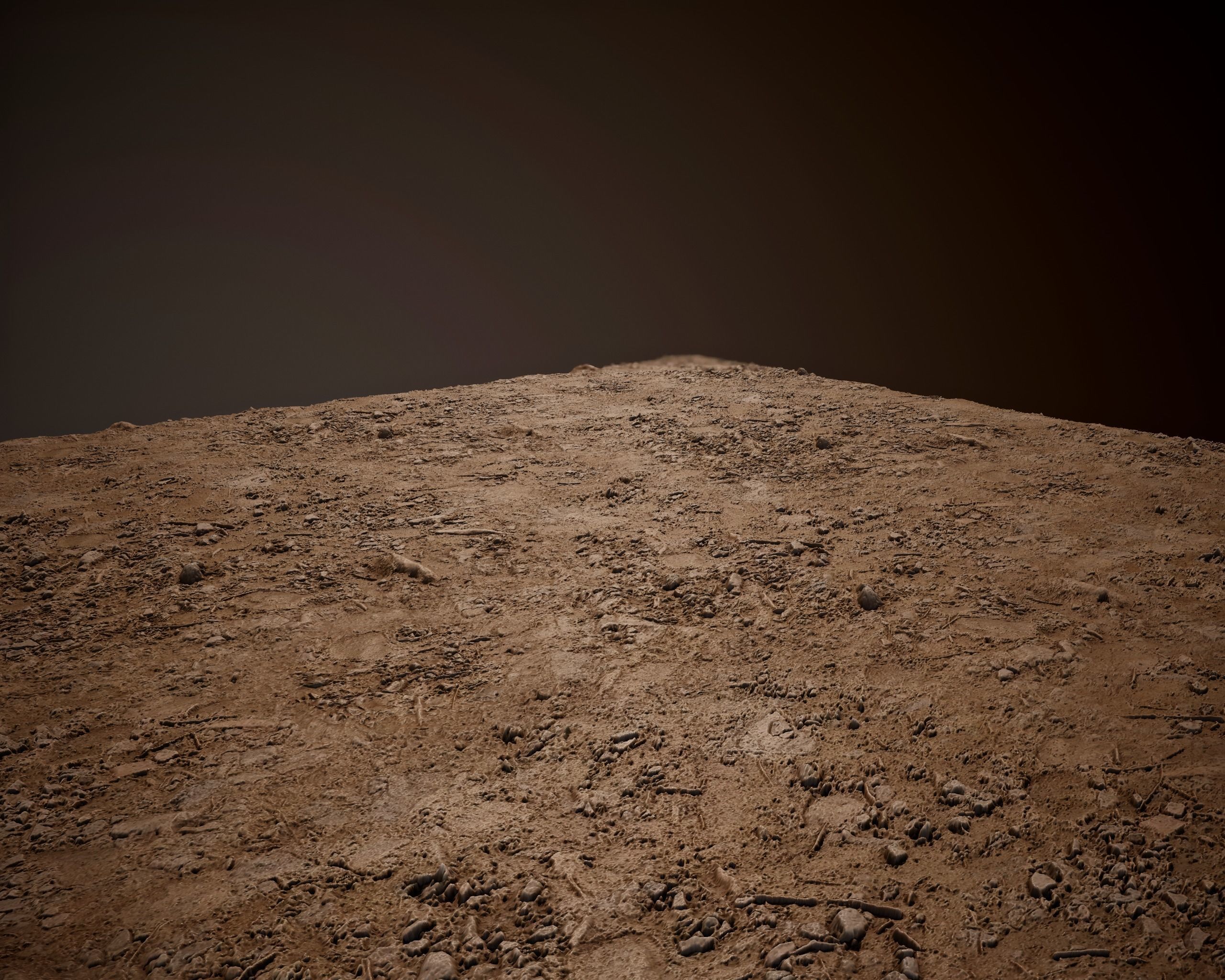 Tileable Forest Ground PBR Texture_2