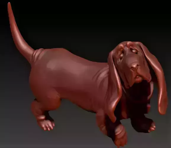 Basset-hound basset hound 3D print model