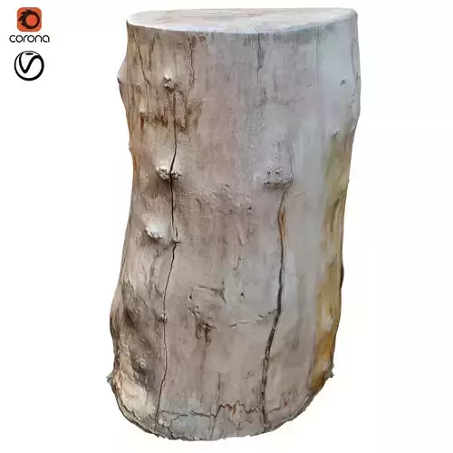 tree trunk 18