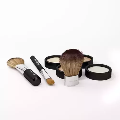 Makeup Set brushes and powders