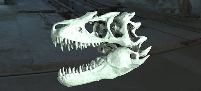 T Rex  scull 3D model
