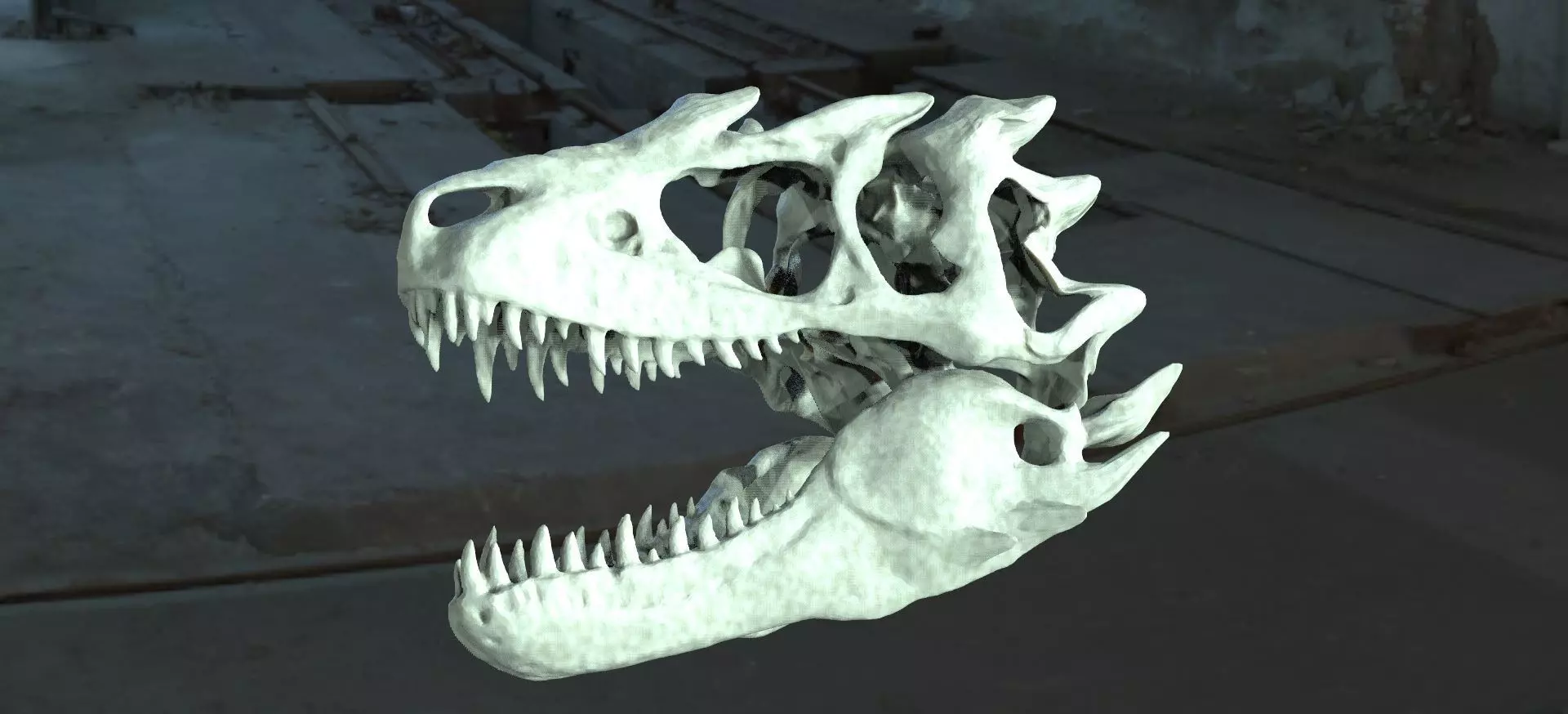 T Rex  scull 3D model_0