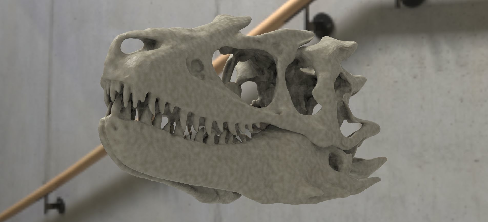 T Rex scull Mouth Closed 3D 3D model_3