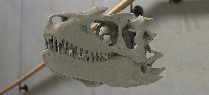 T Rex scull Mouth Closed 3D 3D model