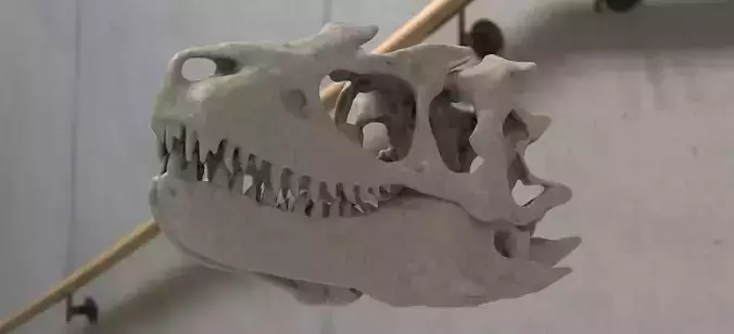 T Rex scull Mouth Closed 3D 3D model