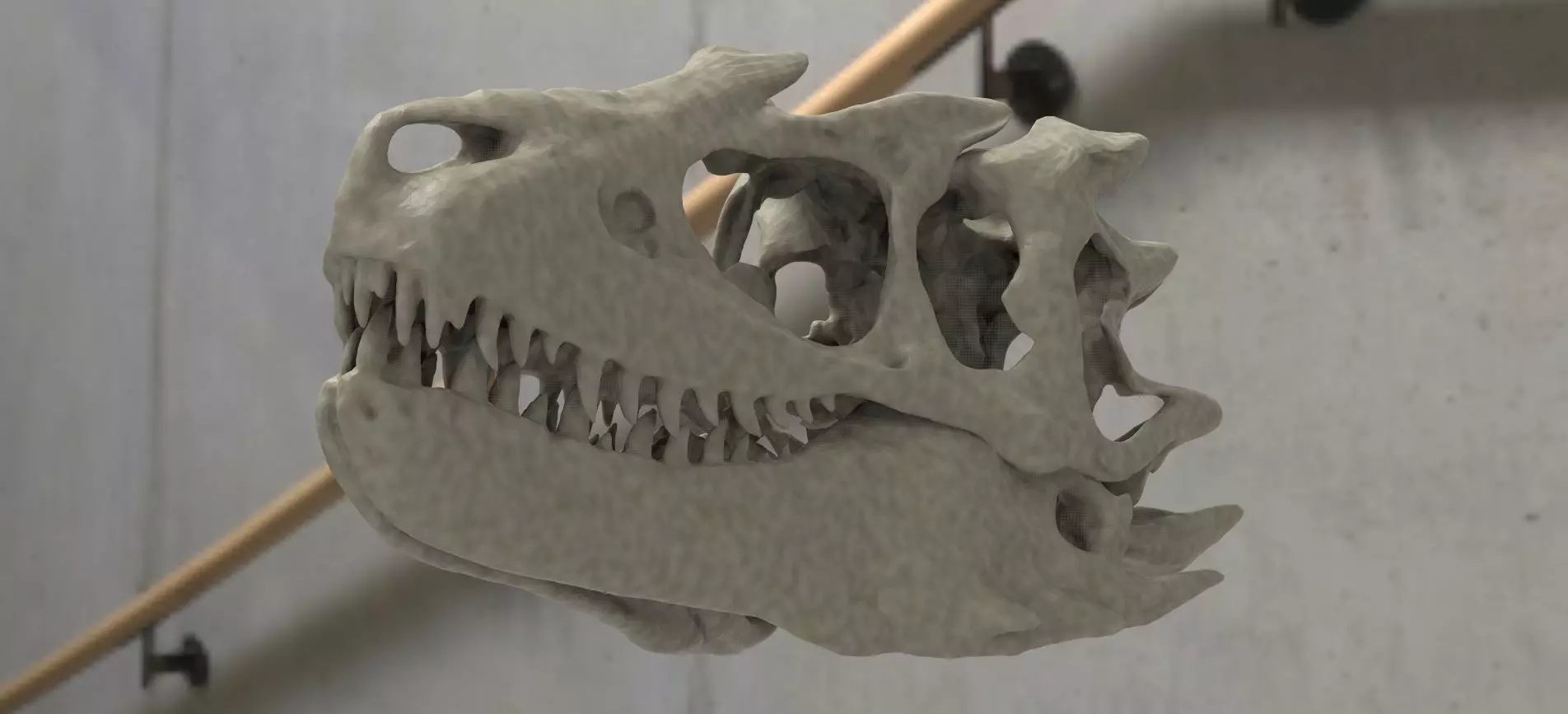 T Rex scull Mouth Closed 3D 3D model_0