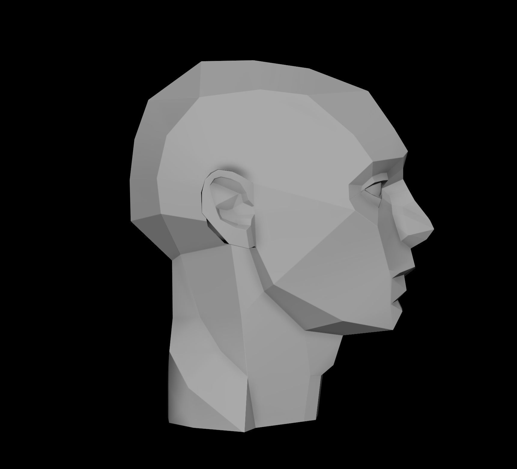 Planes of the Head - Male Asaro model 3D model_2