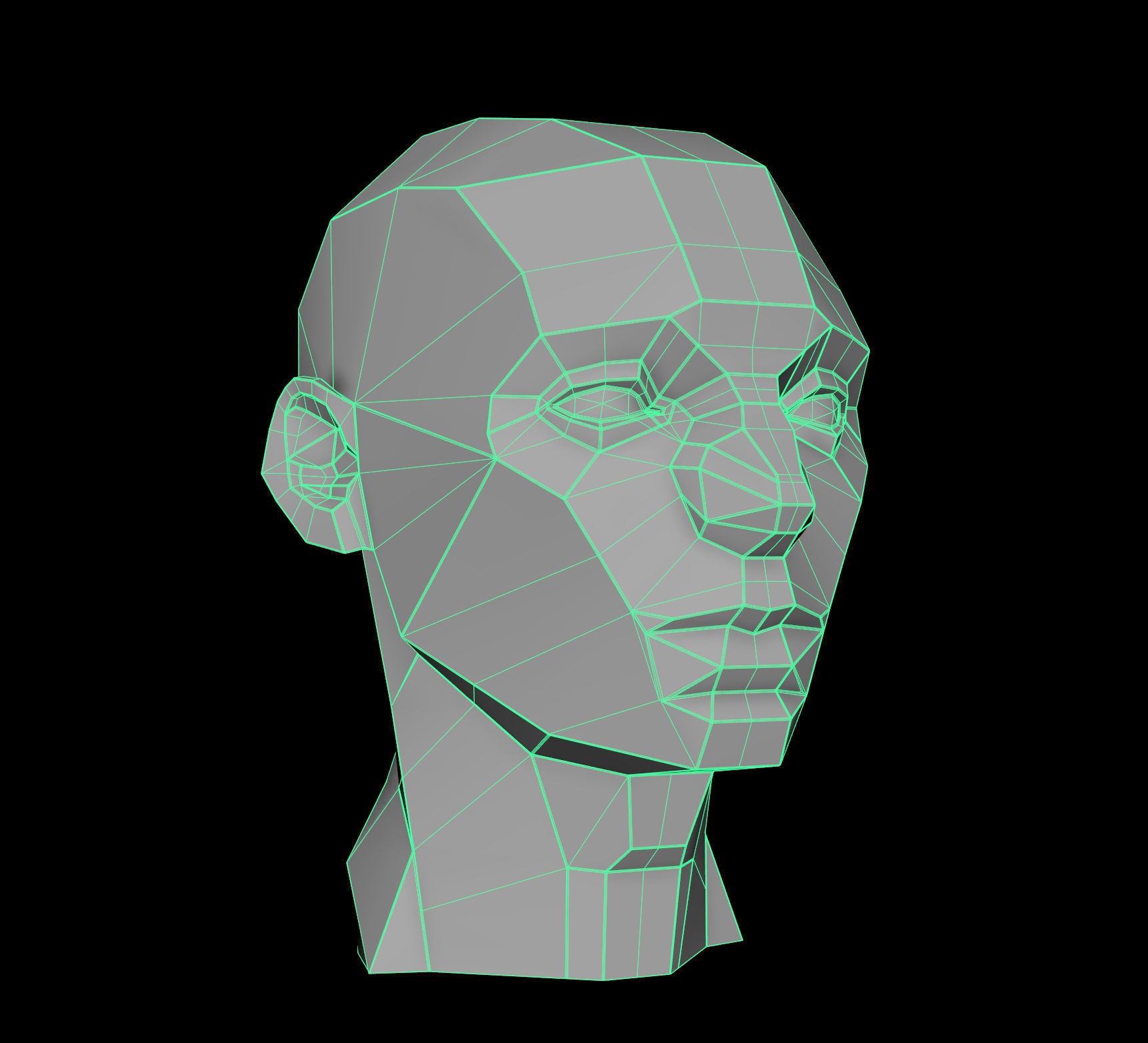 Planes of the Head - Male Asaro model 3D model_5