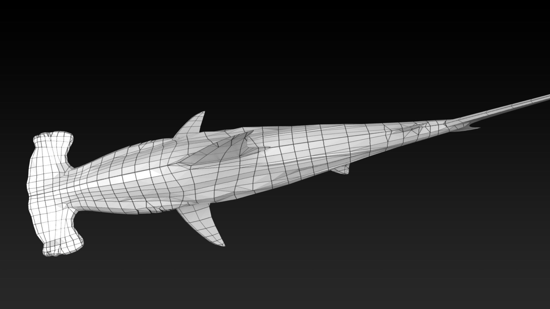 Hammerhead Shark with 3DS Max Octane Support Low-poly 3D model_14