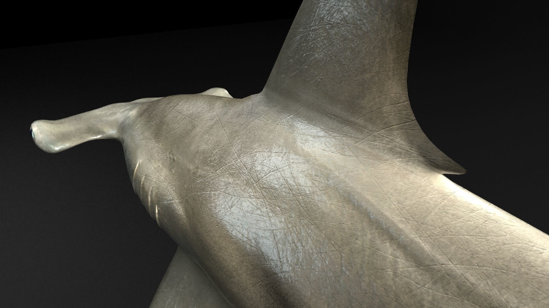 Hammerhead Shark with 3DS Max Octane Support Low-poly 3D model_3