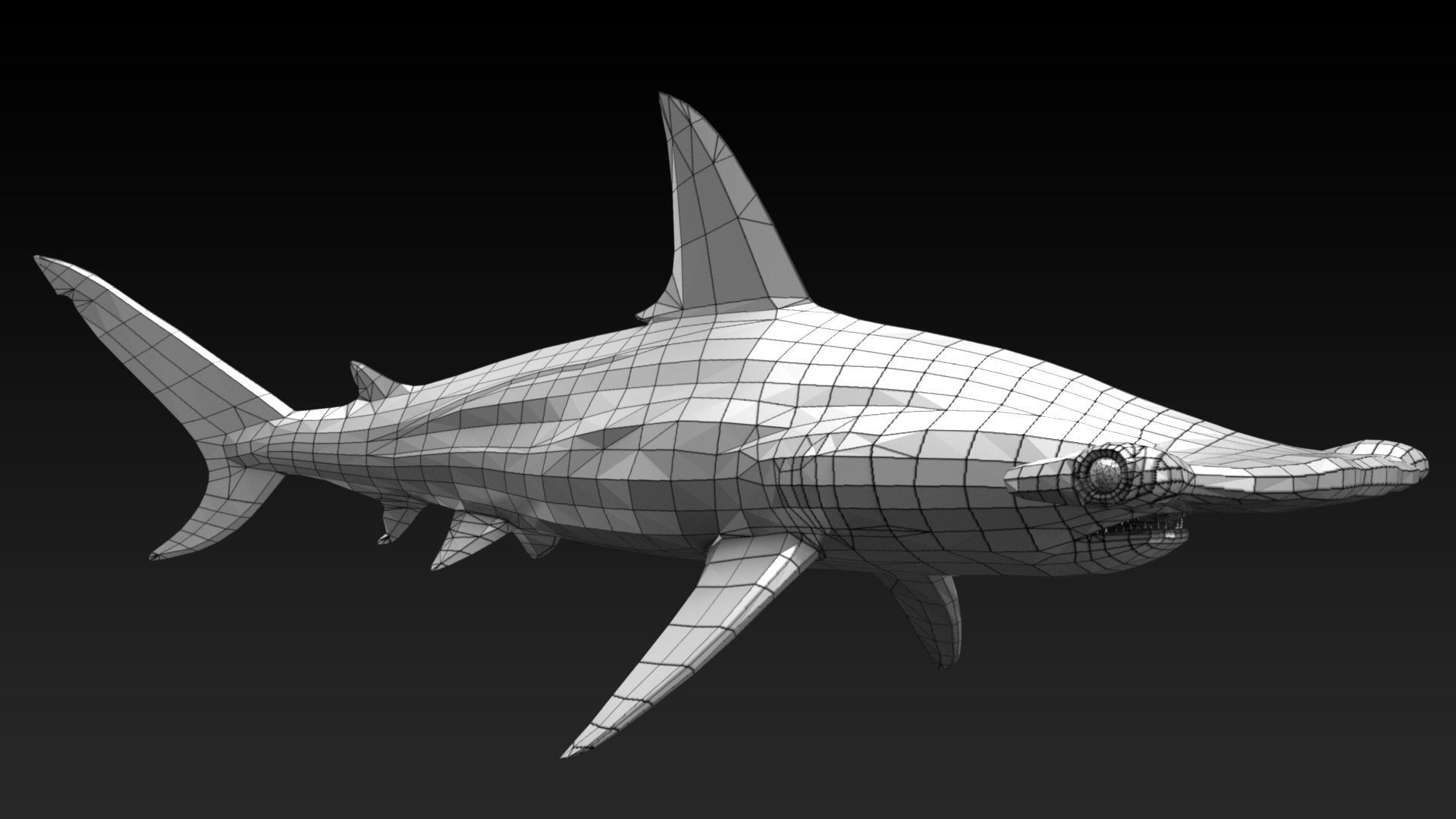 Hammerhead Shark with 3DS Max Octane Support Low-poly 3D model_12