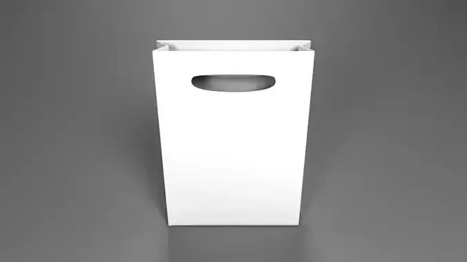 Take Away Paper Bag Packaging