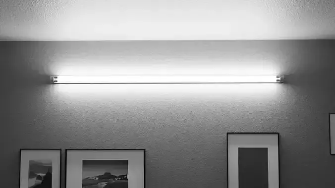 Double flourescent light