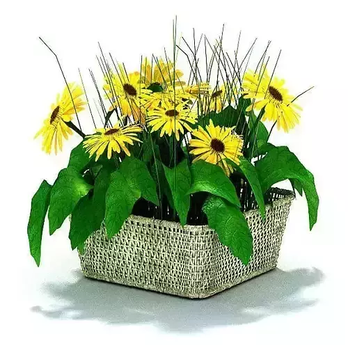 Basket Full Of Sunflowers 3D model