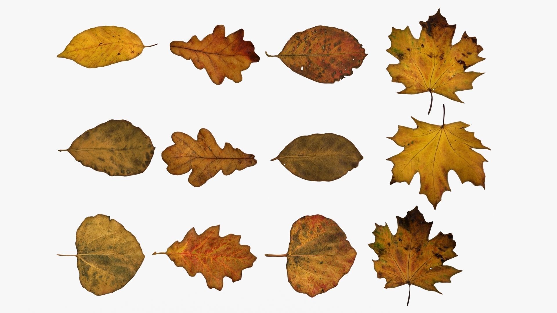 Garbage Trash Set Low-poly 3D model_35