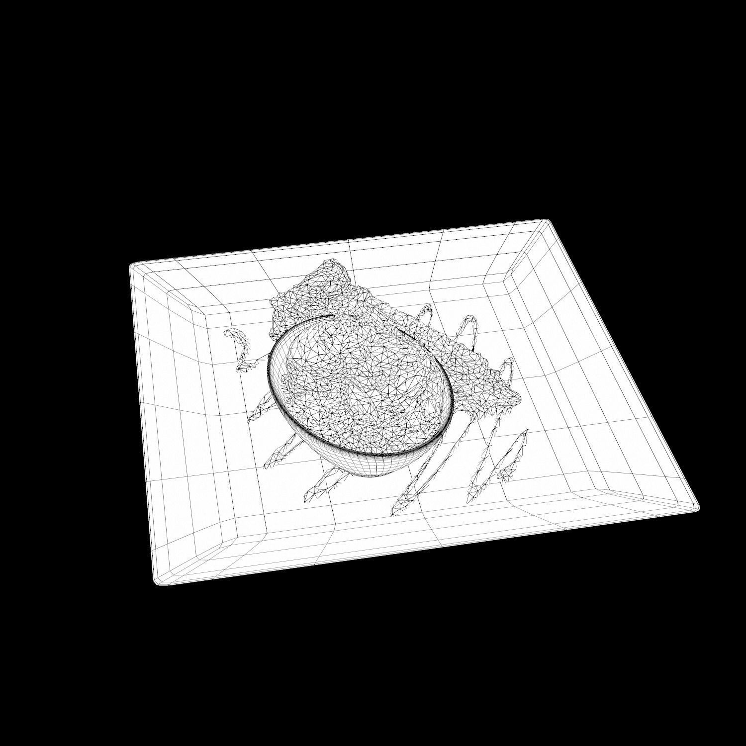 Chocolate peanut butter Pie Low-poly 3D model_13