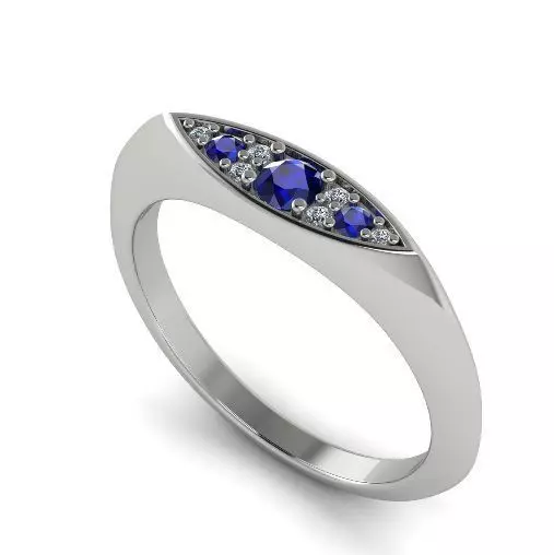 Ring 1096 3D print model