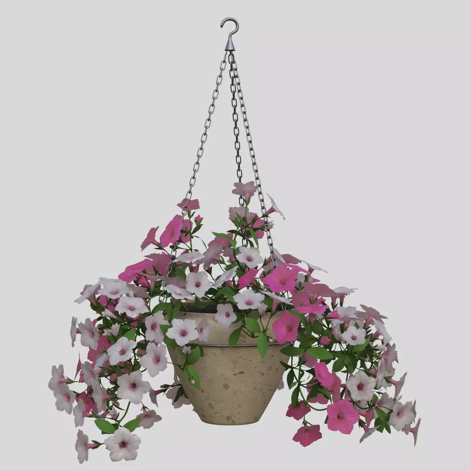 Hanging Flower Petunia 3D model_0