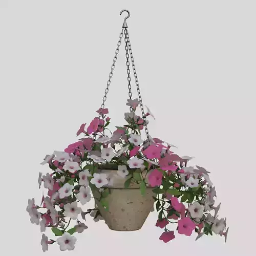 Hanging Flower Petunia 3D model Hanging Flower Petunia 3D model
