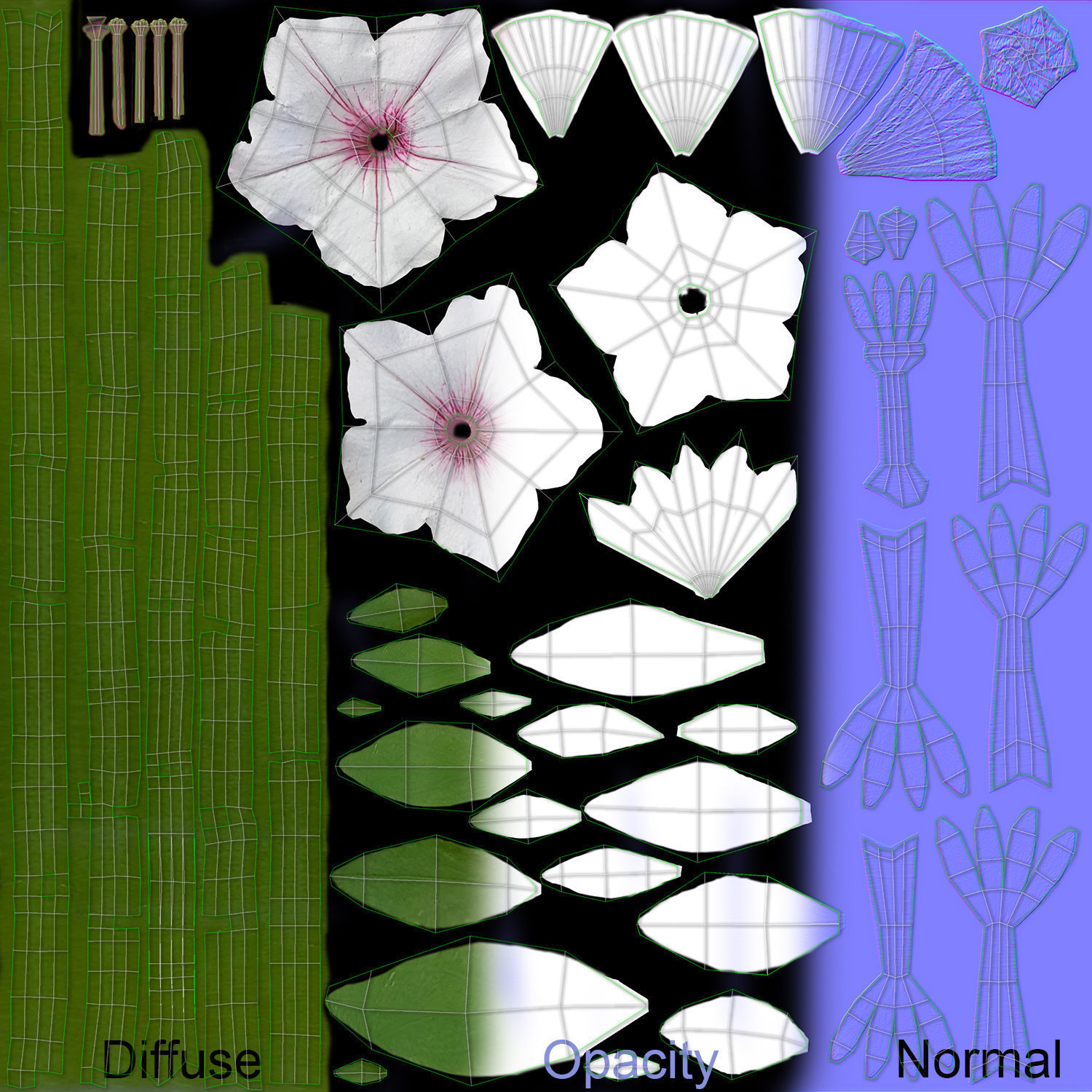 Hanging Flower Petunia 3D model_16