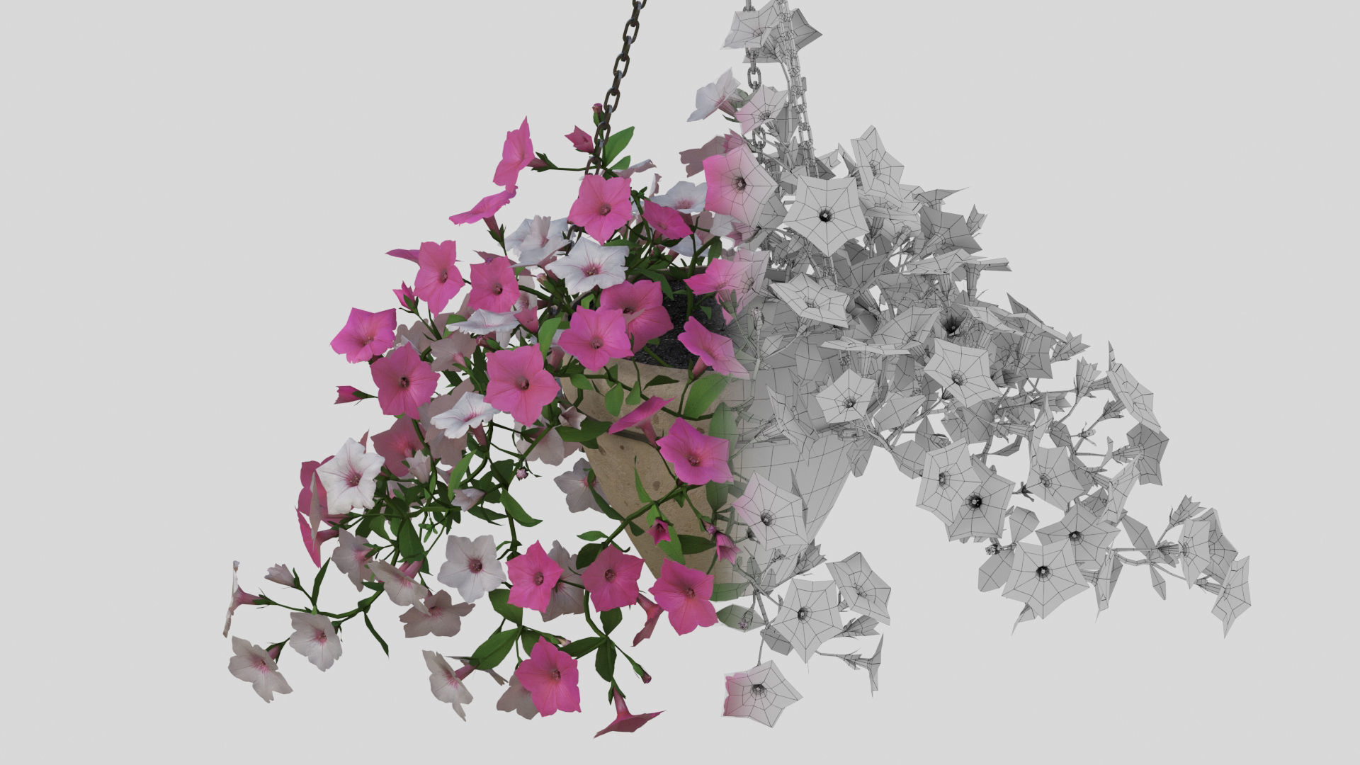 Hanging Flower Petunia 3D model_8