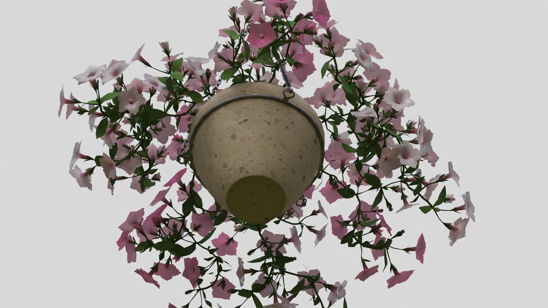 Hanging Flower Petunia 3D model_6