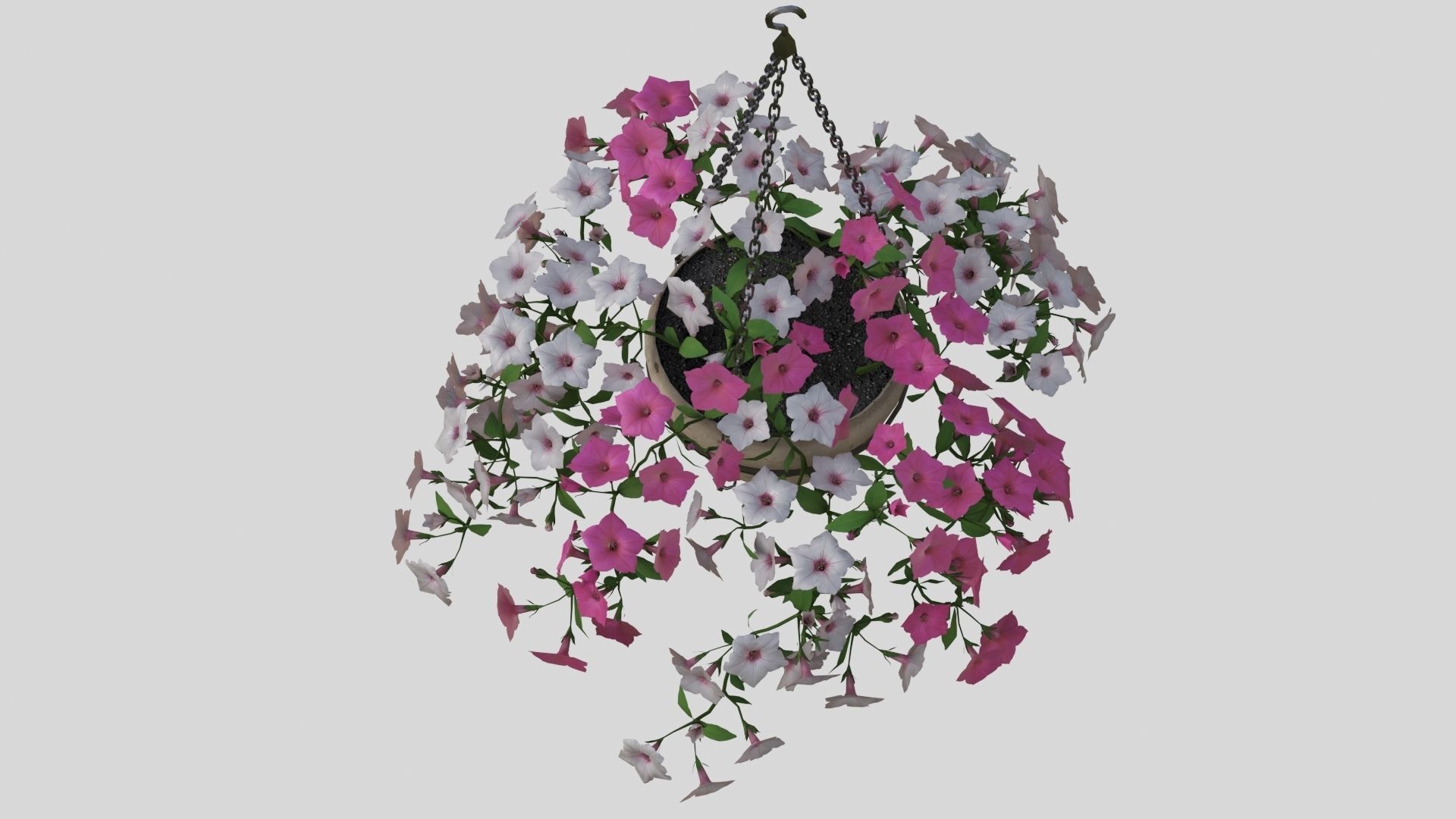 Hanging Flower Petunia 3D model_7
