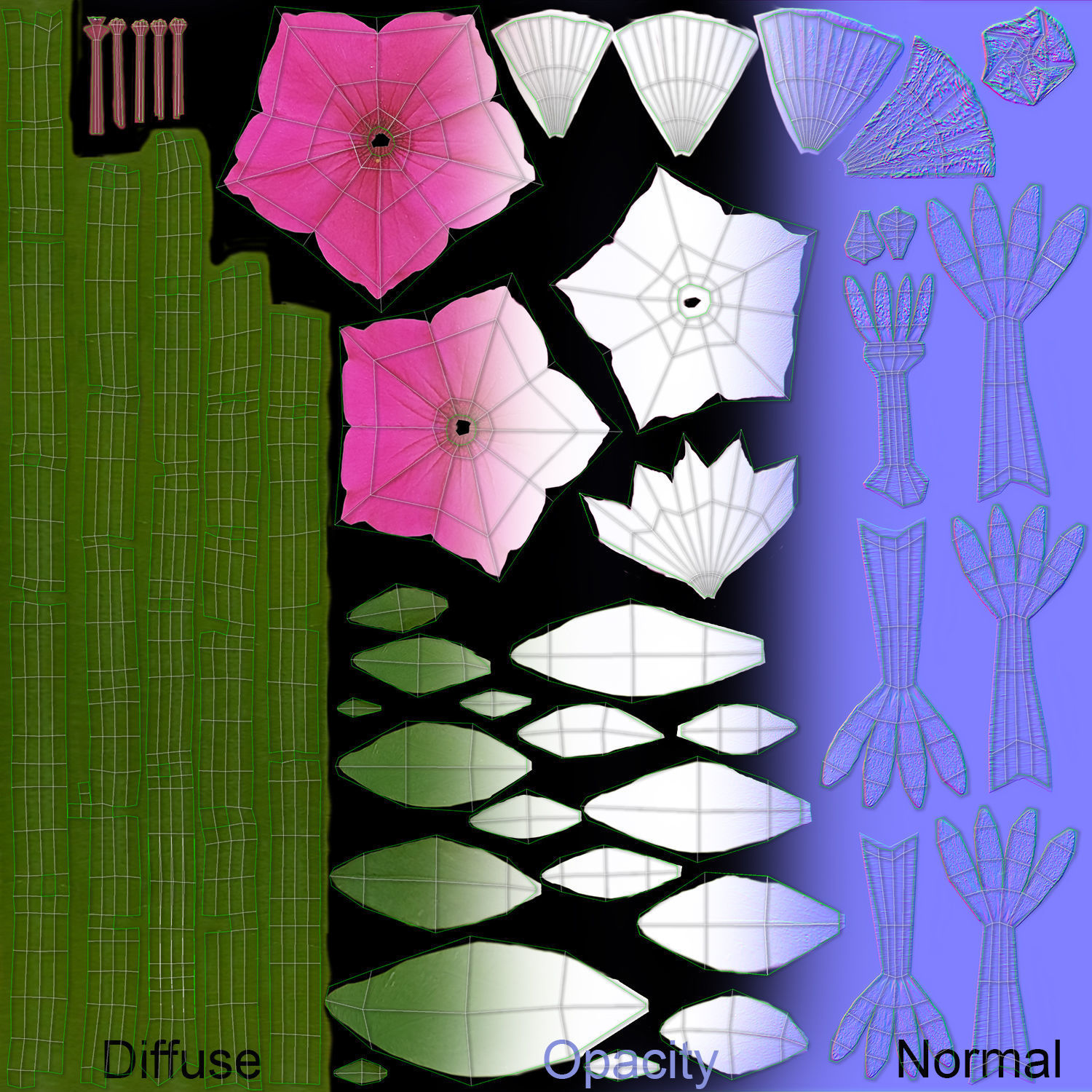 Hanging Flower Petunia 3D model_17