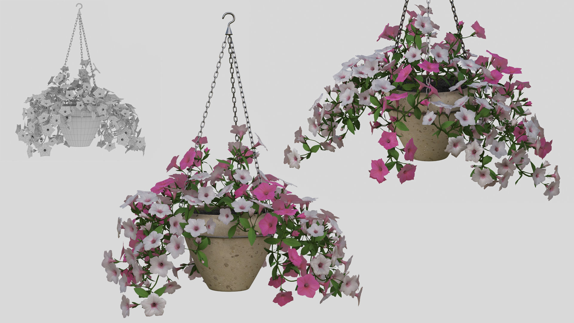 Hanging Flower Petunia 3D model_1