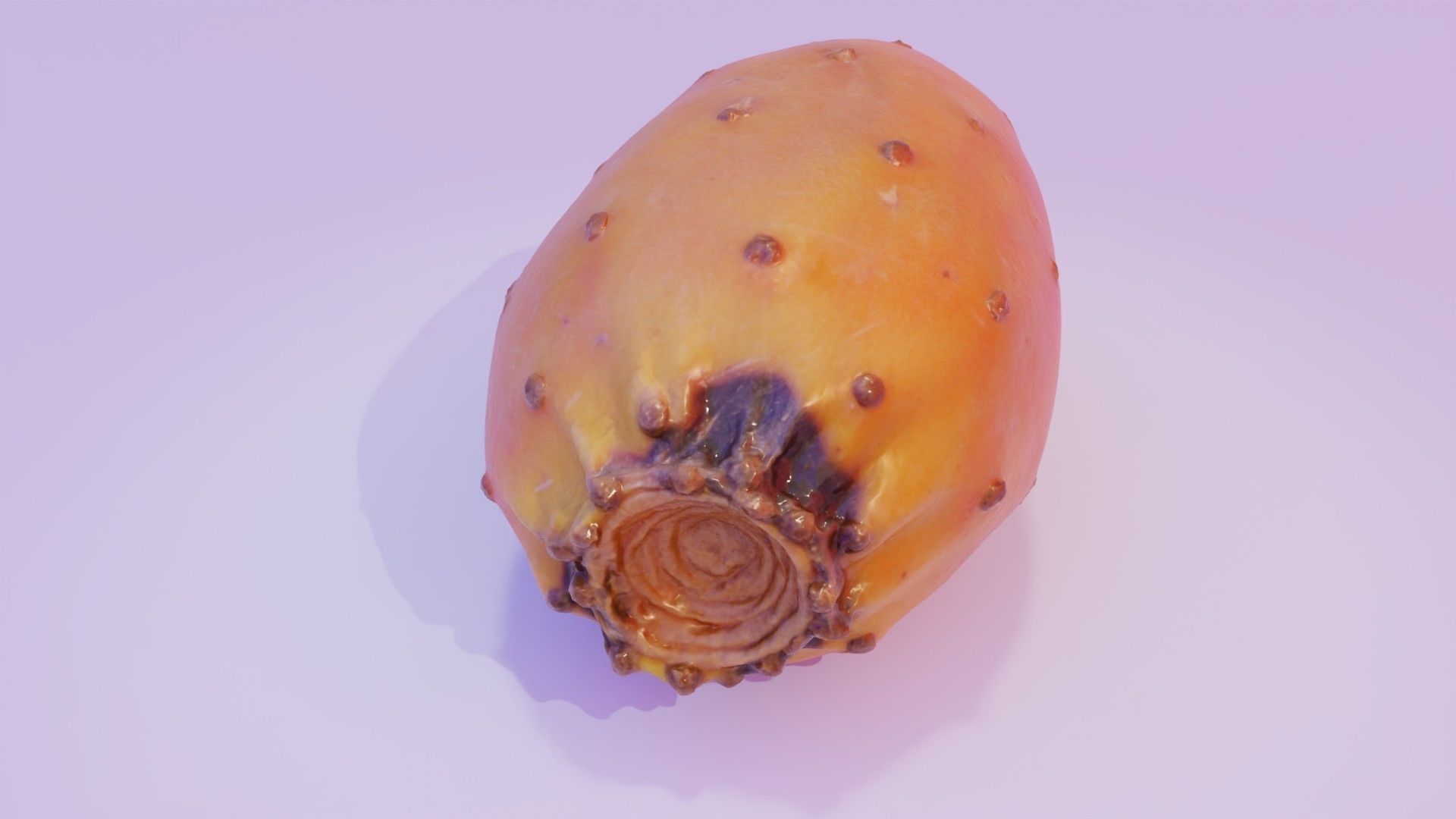 Prickly pear 03 high-poly 3D model_6