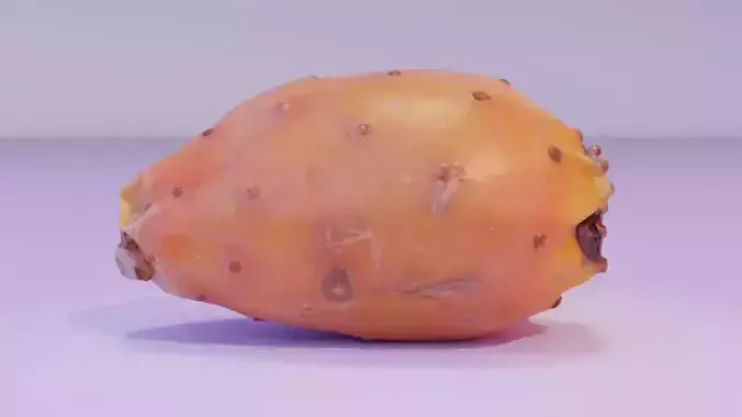 Prickly pear 03 high-poly