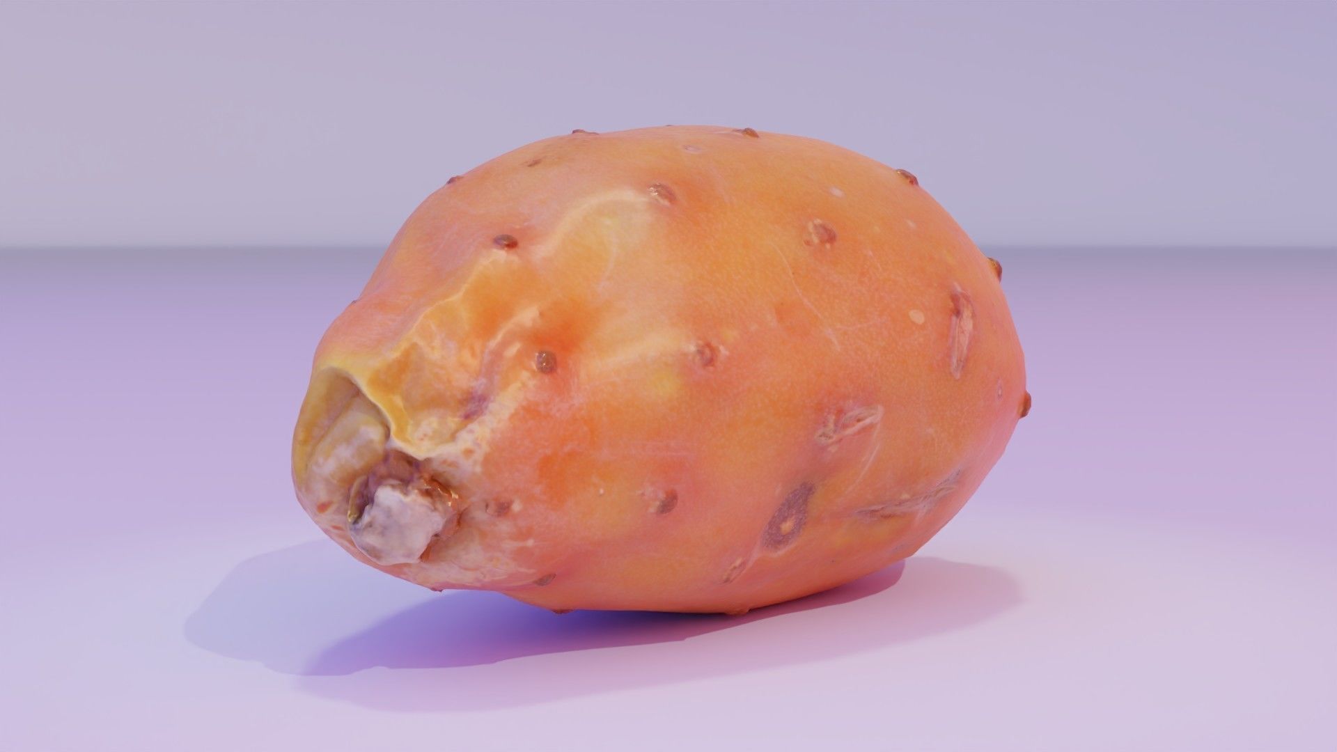 Prickly pear 03 high-poly 3D model_2