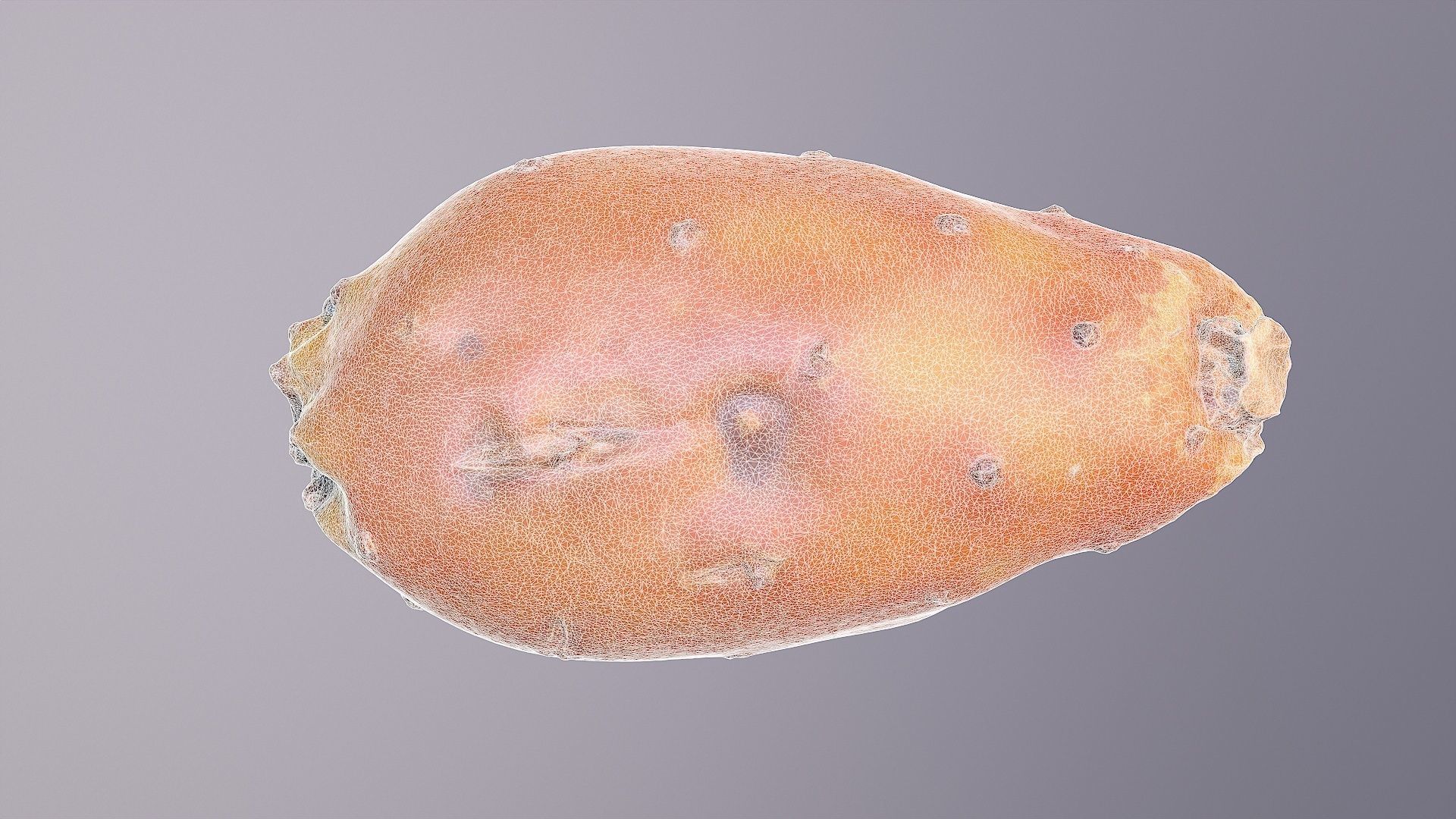 Prickly pear 03 high-poly 3D model_10