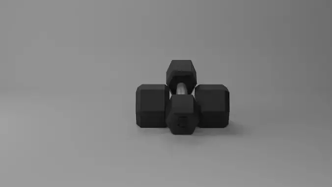Weights dumbbell